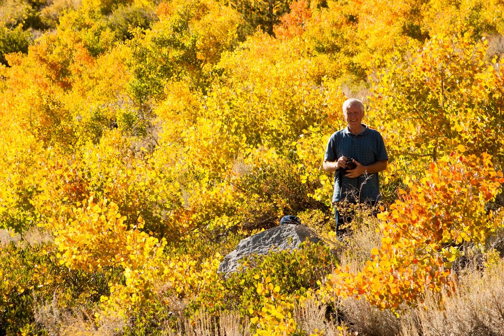 Sierra Fall Foliage
