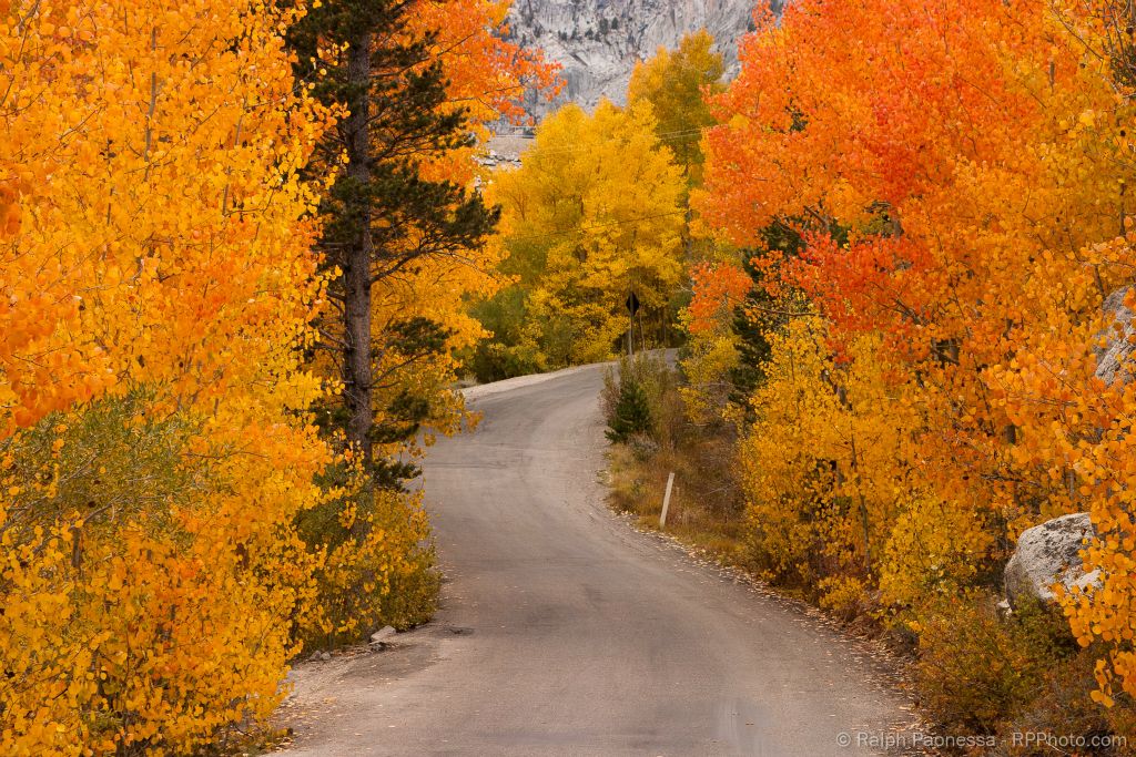 Autumn in the High Sierra