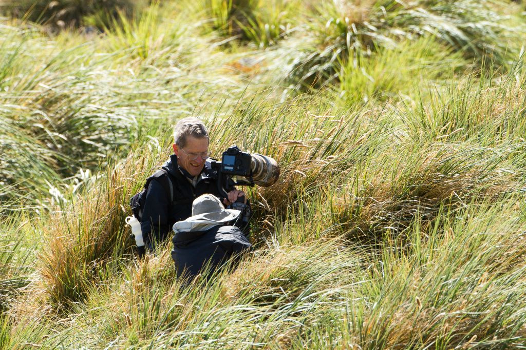 Navigating the Tussock Grass