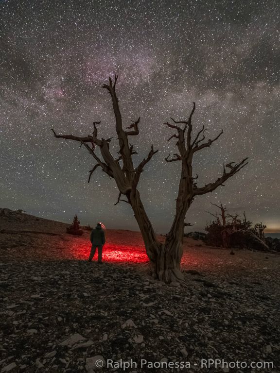 Selfie Under the Milky Way and Bristlecone Pine