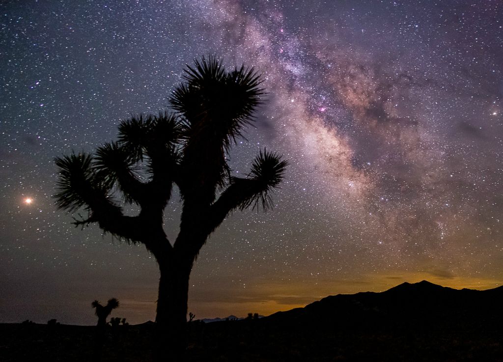 Mars, Joshua Tree, and Milky Way