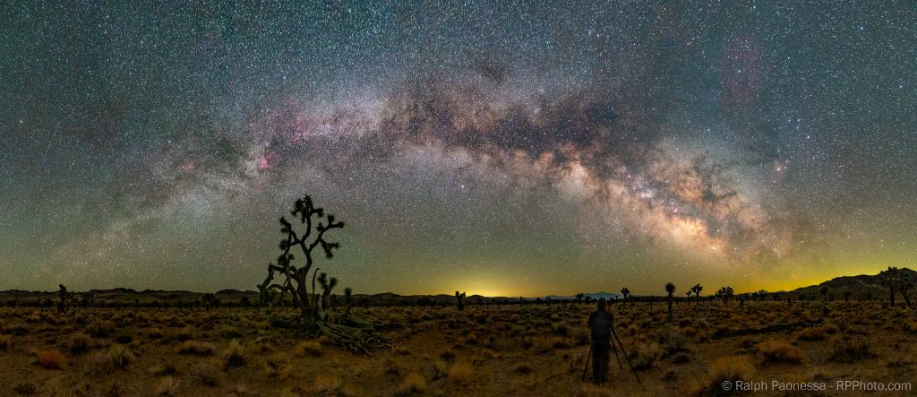 Milky Way Rising over Joshua Tree