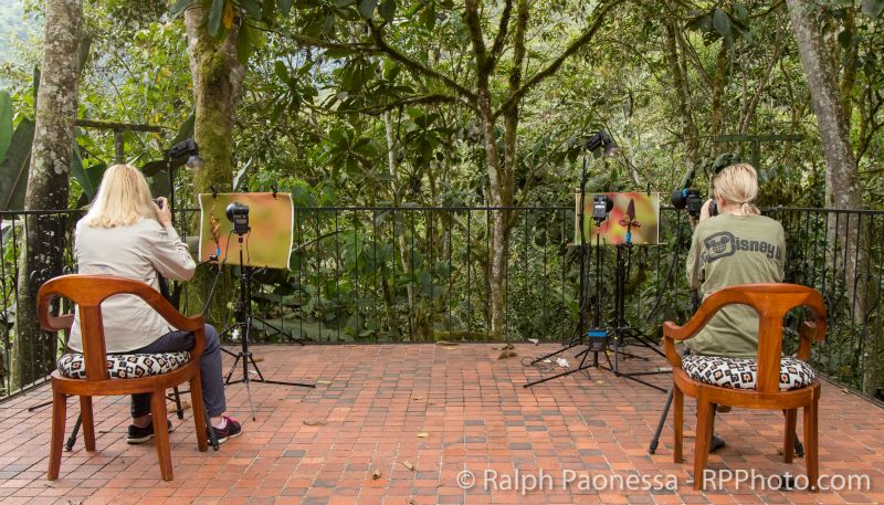 Workshop participants set up for hummingbirds.